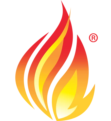 logo fhir